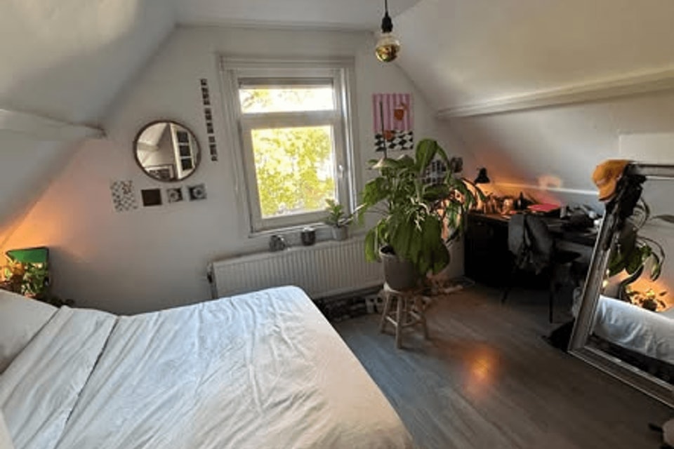 Kamer huren in Rotterdam